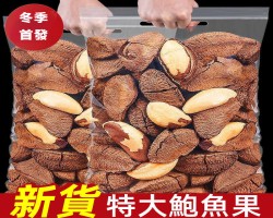 巴西鮑魚果
