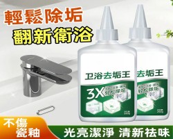 衛浴除垢王