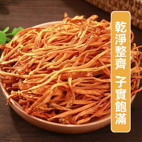 高山上的蟲草花